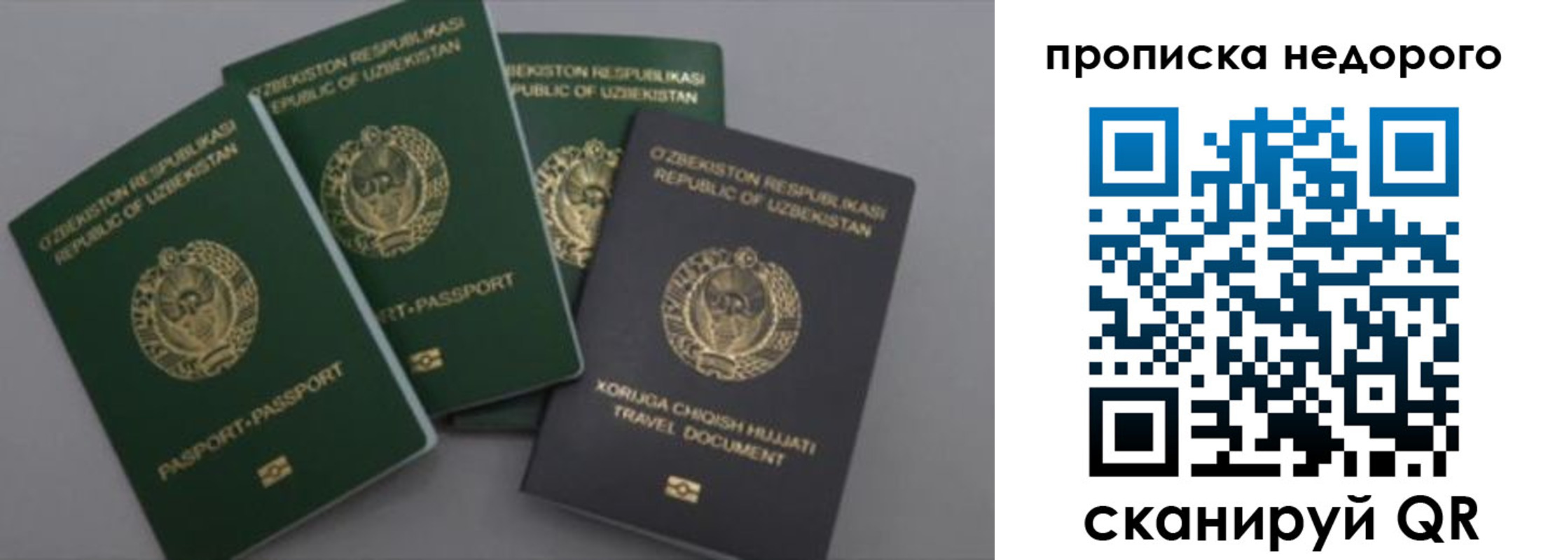 регистрация для школы в Новоузенске